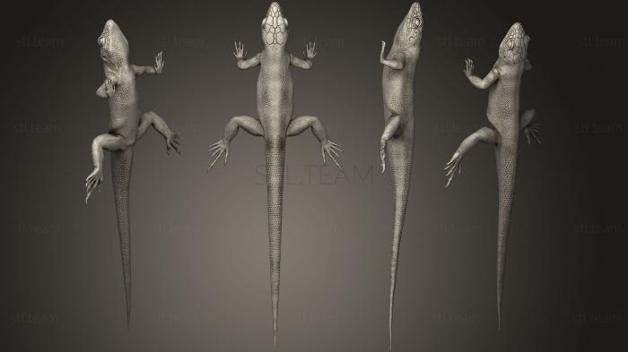 3D model lizard02 (STL)